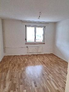 Zimmer gross