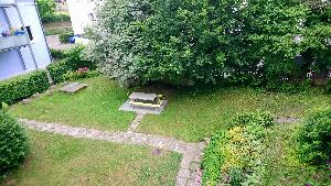 Blick ins Grüne